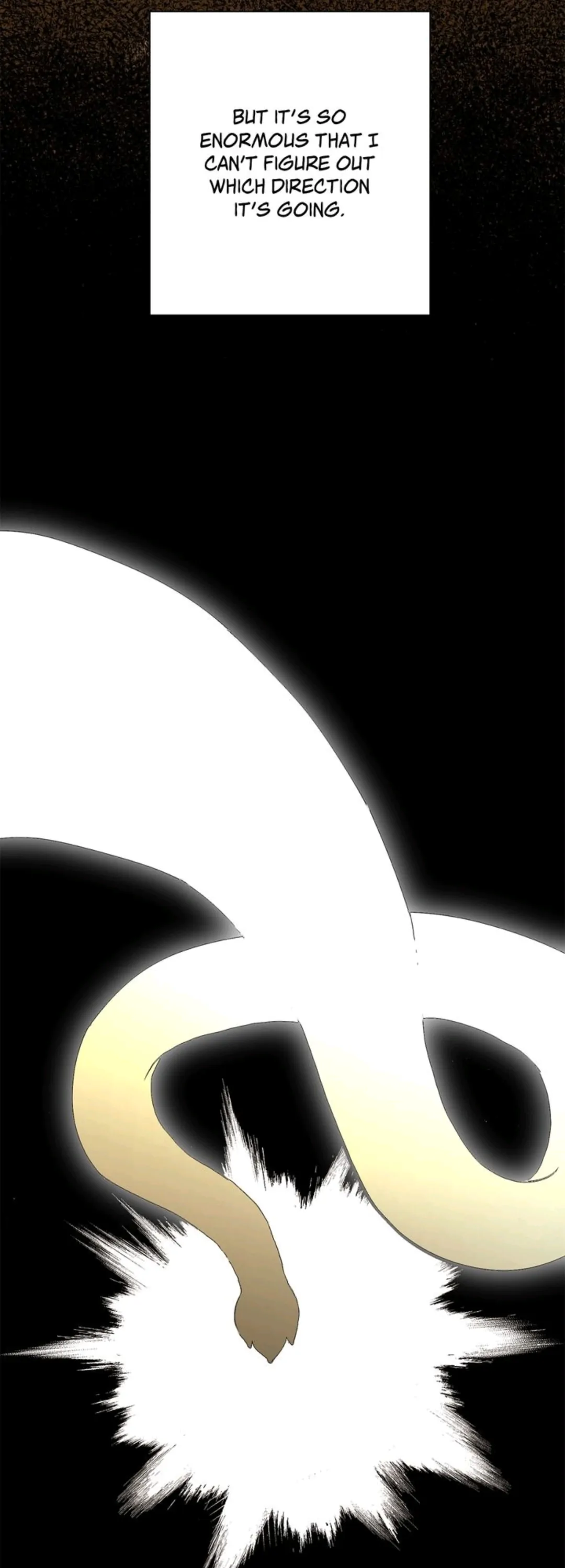 7980931 1080 3000 83144